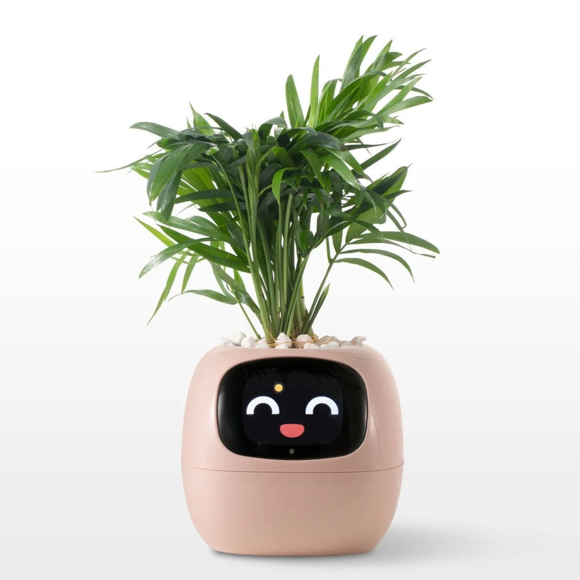 Tuya Ivy Smart Planter