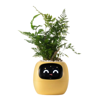 Tuya Ivy Smart Planter