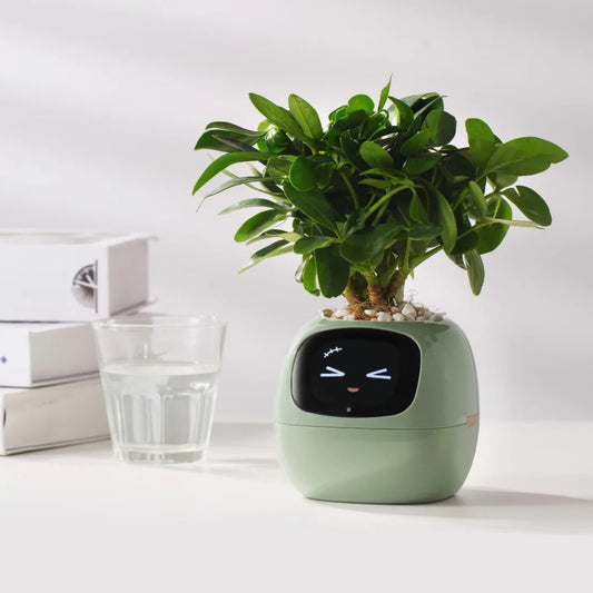 Tuya Ivy Smart Planter