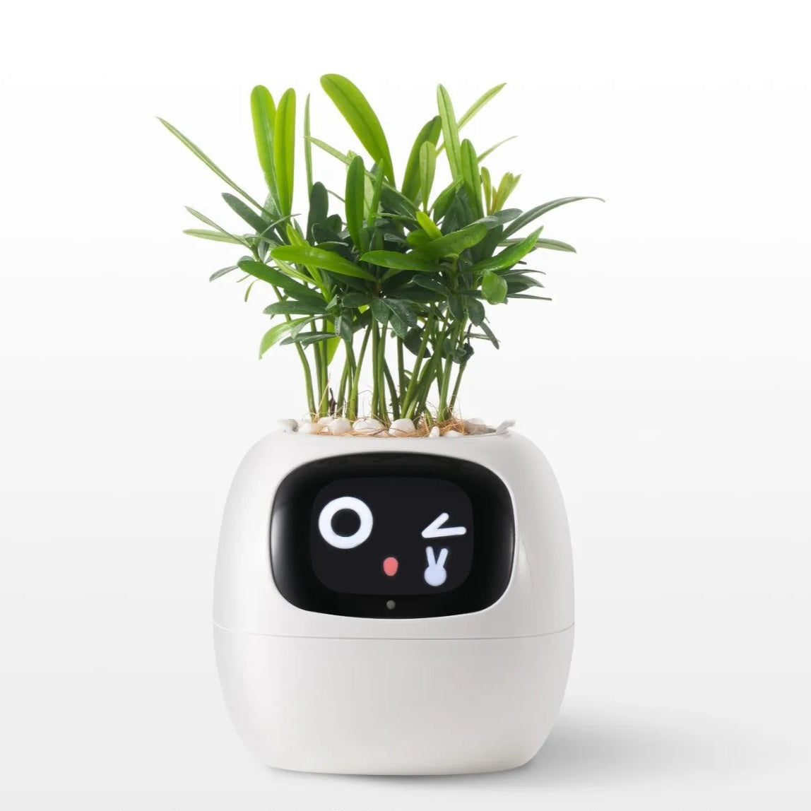 Tuya Ivy Smart Planter