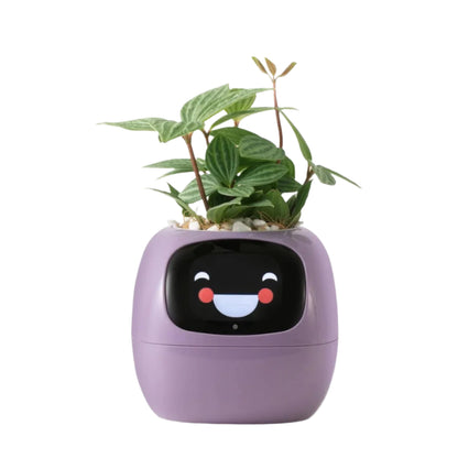 Tuya Ivy Smart Planter